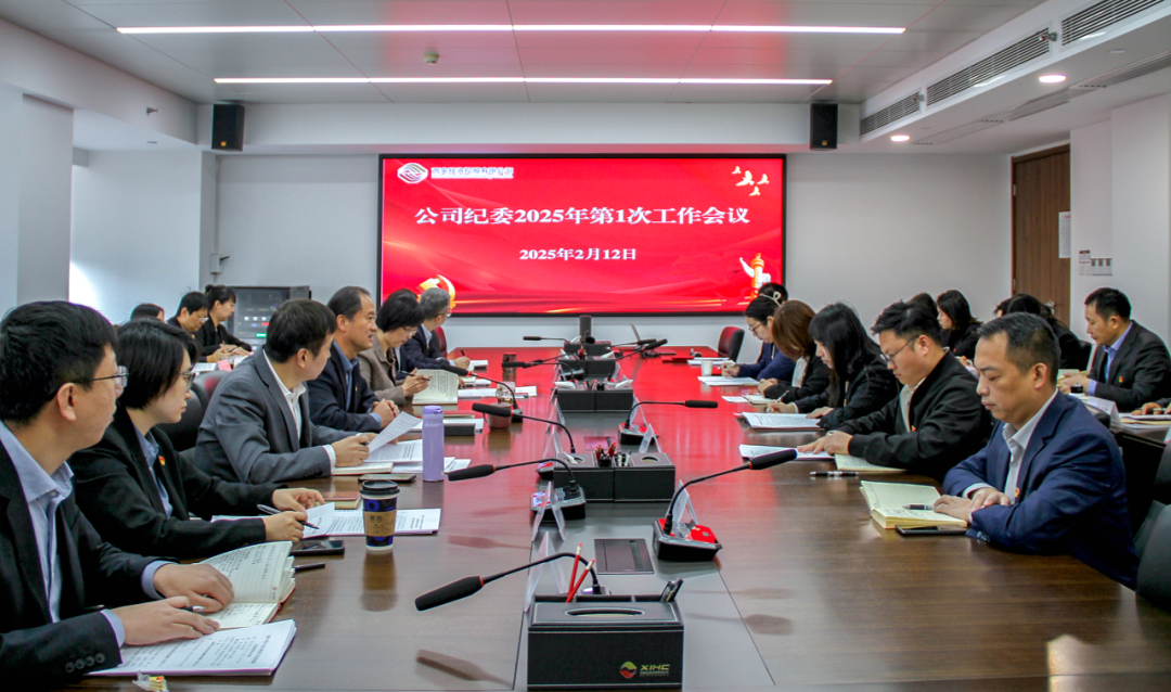 西投控股召開公司紀(jì)委2025年工作會(huì)